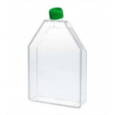 Tissue Culture Plastic Flask
